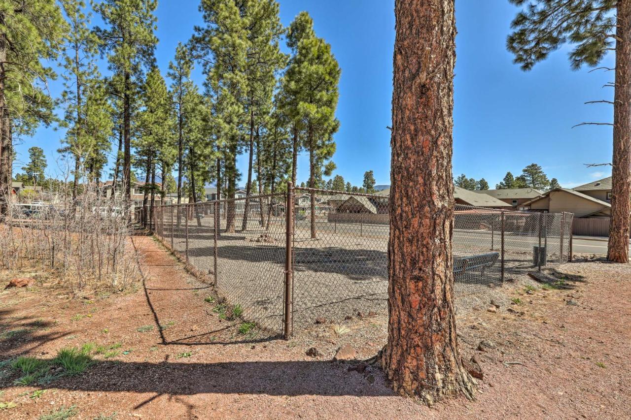 Modern Flagstaff Home, 4 Mi To Downtown! ภายนอก รูปภาพ